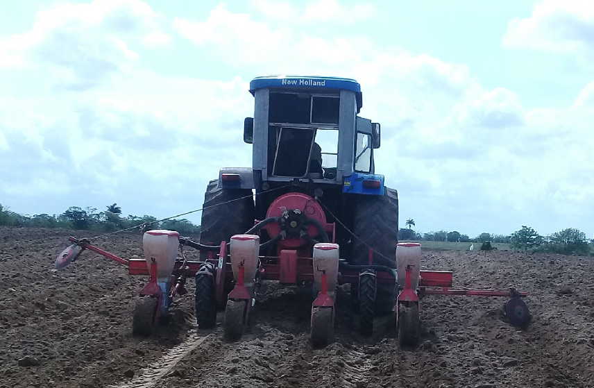 sancti spiritus, produccion de alimentos, agricultura, siembra, agricultura