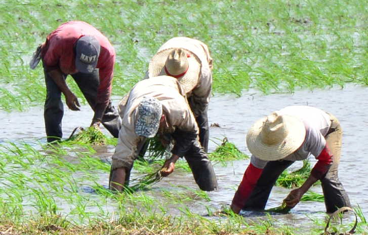 sancti spiritus, agricultura, suelos, medio ambiente