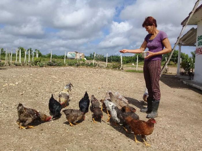 agricultura, alimentos, produccion de alimentos, san andres