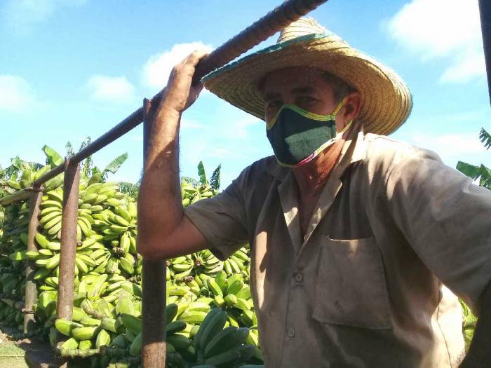 agricultura, alimentos, produccion de alimentos, san andres