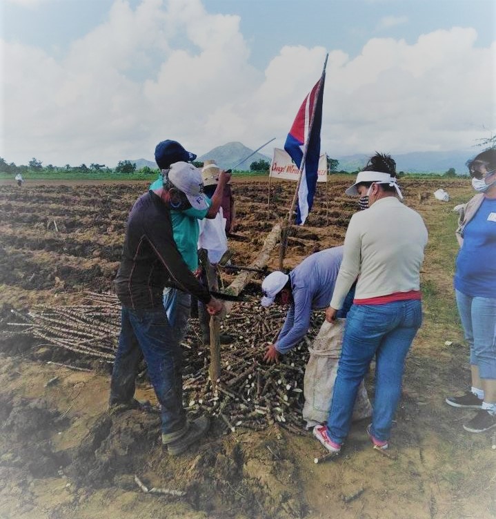 Diversas tareas productivas se desarrollaron este domingo como parte de las acciones recuperativas. (Foto: Mayubi Álvarez)