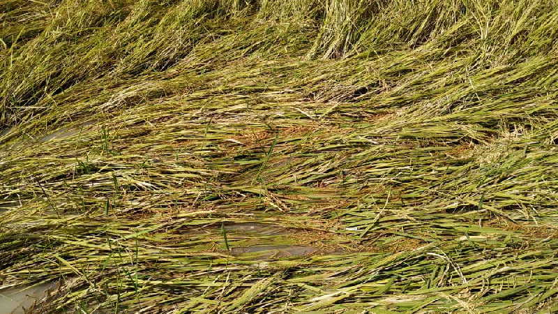 sancti spiritus, lluvias en sancti spiritus, desastres naturales, defensa civil, consejo de defensa, ciclones