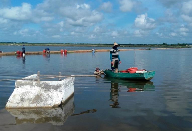 sancti spiritus, cultizaza, camaron, pandemia mundial, tunas de zaza