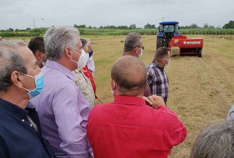 matanzas, visita gubernamental, miguel diaz-canel, presidente de la republica de cuba, zafra azucarera, agricultura