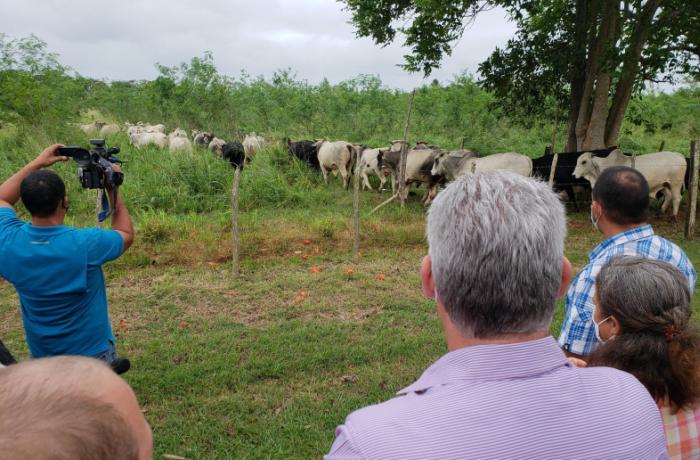 matanzas, visita gubernamental, miguel diaz-canel, presidente de la republica de cuba, zafra azucarera, agricultura