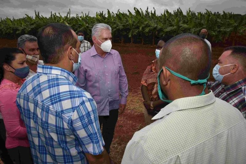 matanzas, visita gubernamental, miguel diaz-canel, presidente de la republica de cuba, zafra azucarera, agricultura
