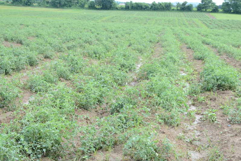 sancti spiritus, lluvias en sancti spiritus, desastres naturales, defensa civil, consejo de defensa, ciclones