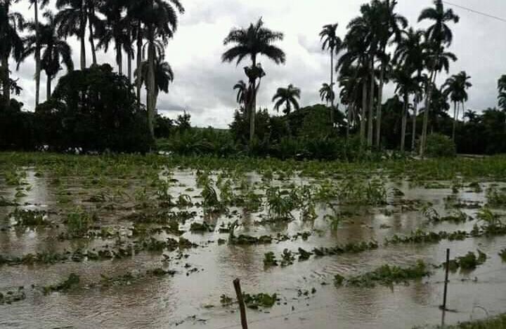 sancti spiritus, cuba, tormenta tropical eta, desastres naturales, defensa civil, consejo de defensa, trinidad, lluvias en sancti spiritus, meteorologia, huracanes, jatibonico, la sierpe, presa zaza