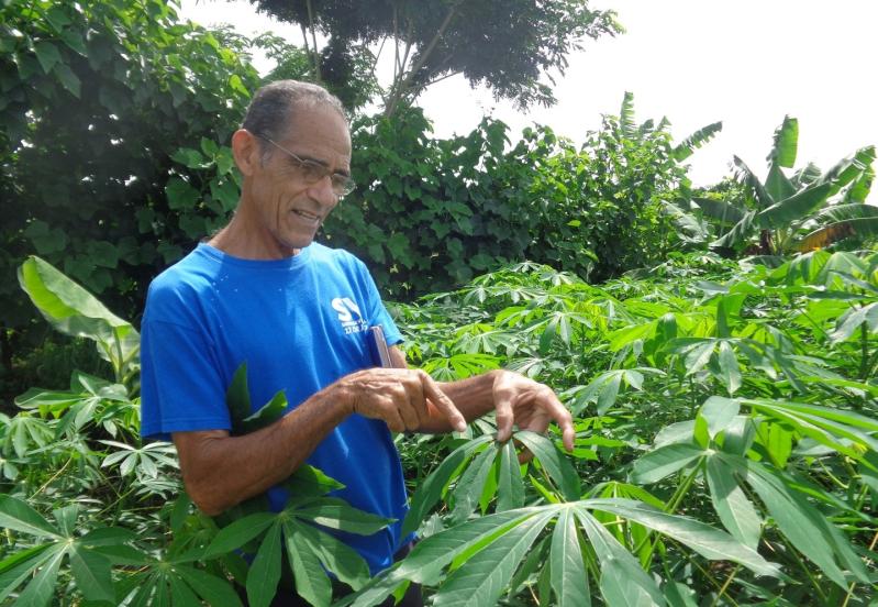 sancti spiritus, sanidad venetal, agricultura sancti spiritus, medios biologicos