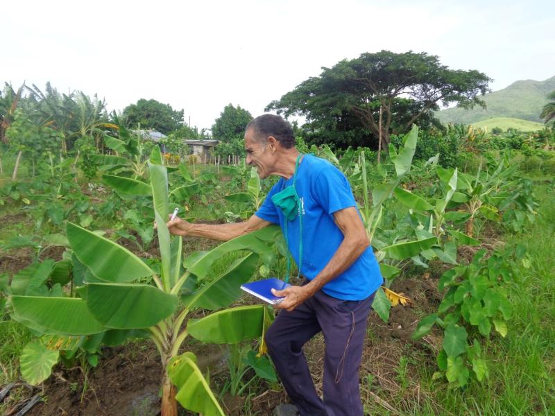 sancti spiritus, sanidad venetal, agricultura sancti spiritus, medios biologicos