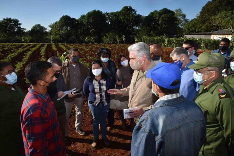 cuba, la habana, visita gubernamental, miguel diaz-canel, presidente e la republica de cuba, construccion de viviendas, produccion de alimentos