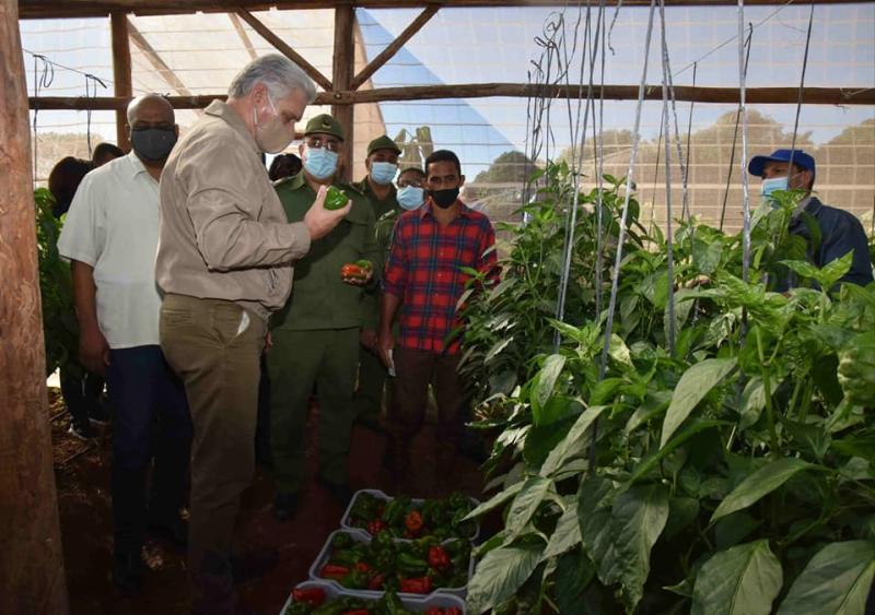 cuba, la habana, visita gubernamental, miguel diaz-canel, presidente e la republica de cuba, construccion de viviendas, produccion de alimentos