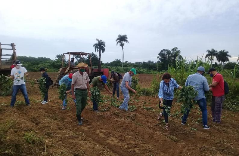 sancti spiritus, revolucion cubana, triunfo de la revolucion, economia espirituana, partido comunista de cuba