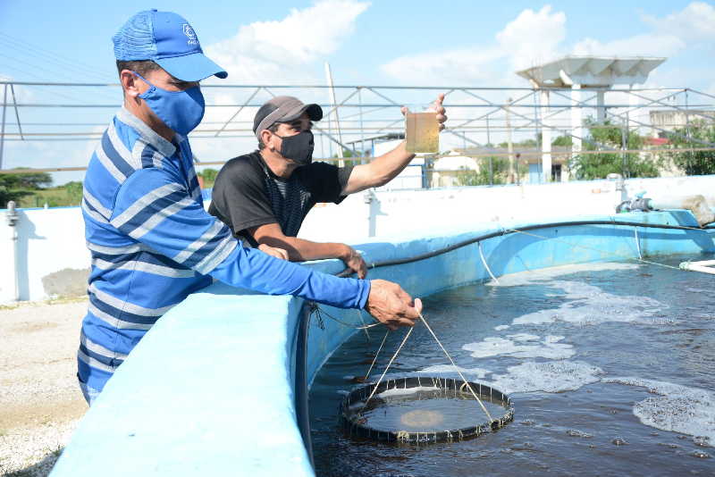 Pescar, producir, asistir a los enfermos o prestar otros servicios y actividades forman parte de la cotidianidad en Tunas de Zaza.