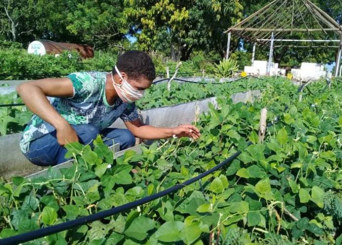 cuba, tarea ordenamiento, economia cubana, empleo, direccion municipal de trabajo