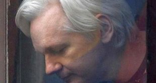 reino unido, julian assange, justicia, wikileaks