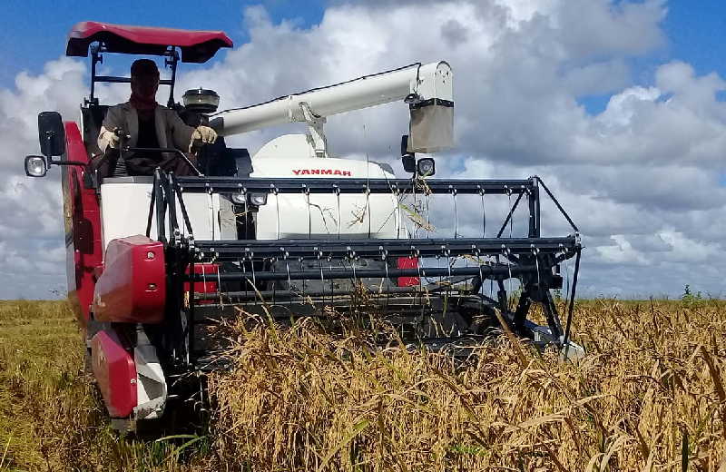 sancti spiritus, arrocera sur del jibaro, empresa agroindustrial de granos sur del jibaro, precios, salarios, tarea ordenamiento