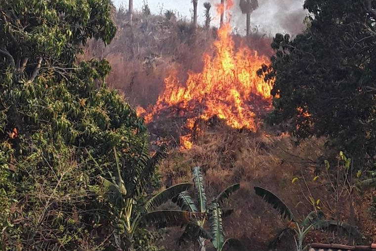 cuba, incendios forestales, guardabosques