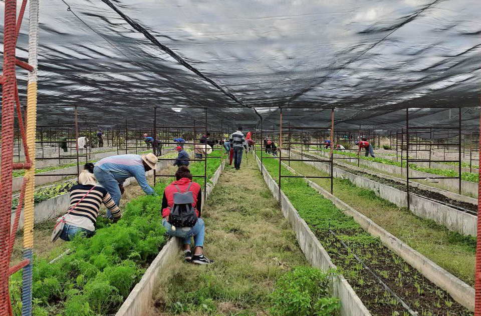 Más de 800 estudiantes de la provincia se suman a las tareas sociales y productivas del territorio. (Foto: Abran Sánchez) 