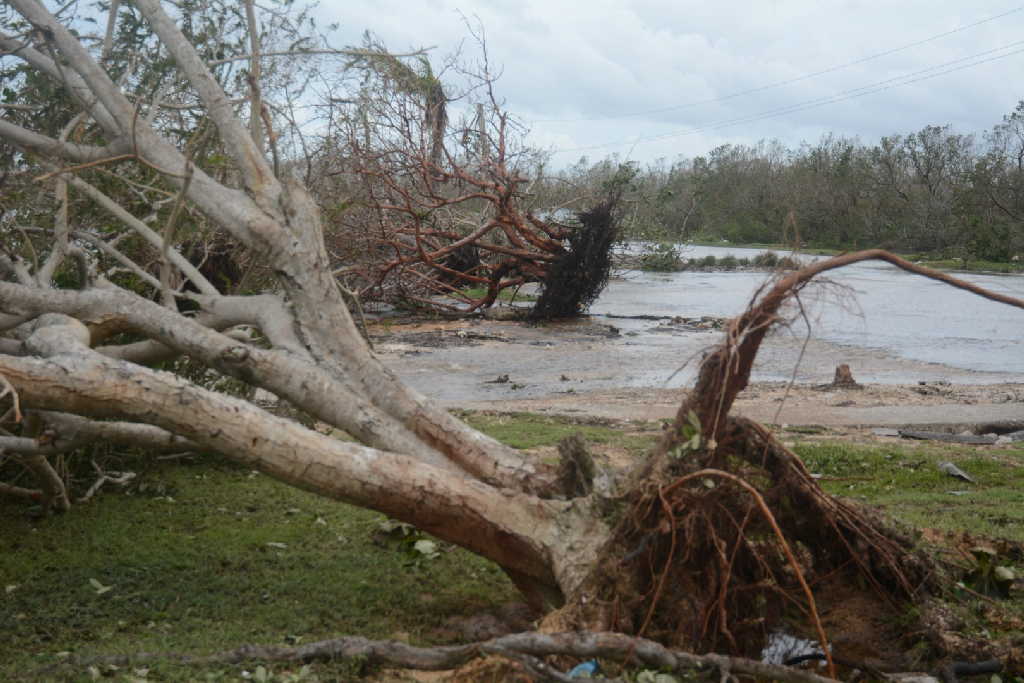 sancti spiritus, yaguajay, parque nacional caguanes, huracan irma