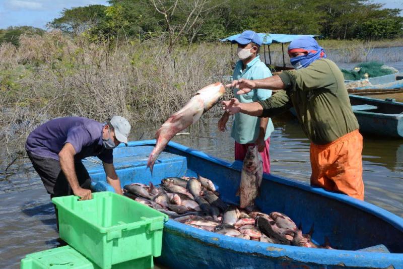 sancti spiritus, pesca, trea ordenamiento, precios, salarios, cultizaza, pescaspir