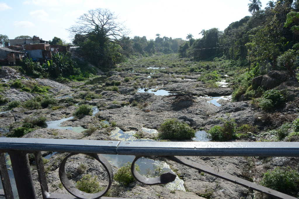 La sequía comienza a afectar a todo el territorio, pero en particular a Sancti Spíritus, Cabaiguán, Taguasco y La Sierpe.  (Foto: Vicente Brito / Escambray)