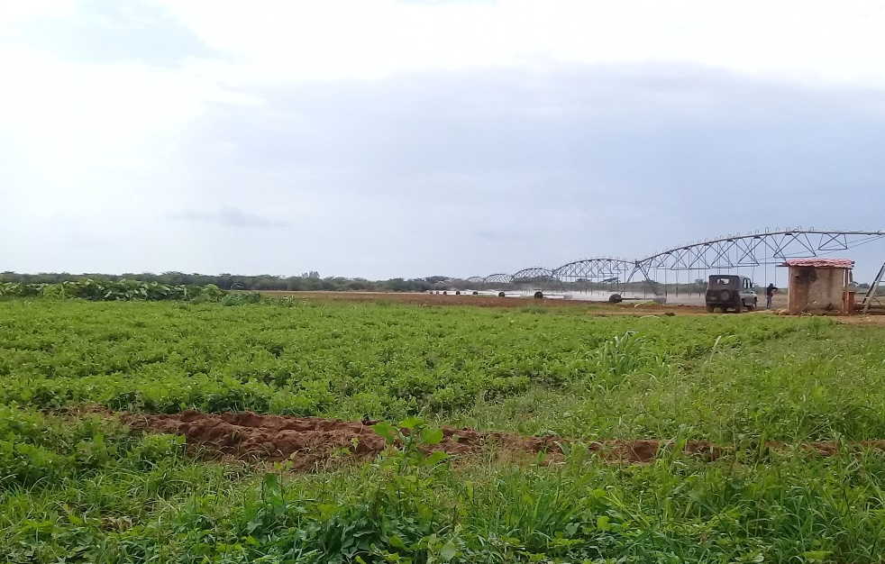 sancti spiritus, hechos delictivos, empresa agropecuaria banao, contraloria