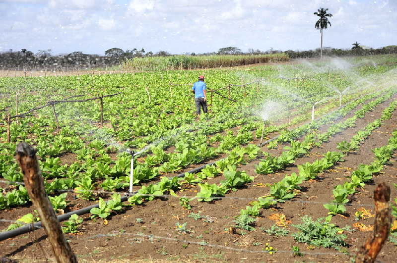 sancti spiritus, agricultura, precios, electricidad, consumo electrico, tarea ordenamiento, economia cubana