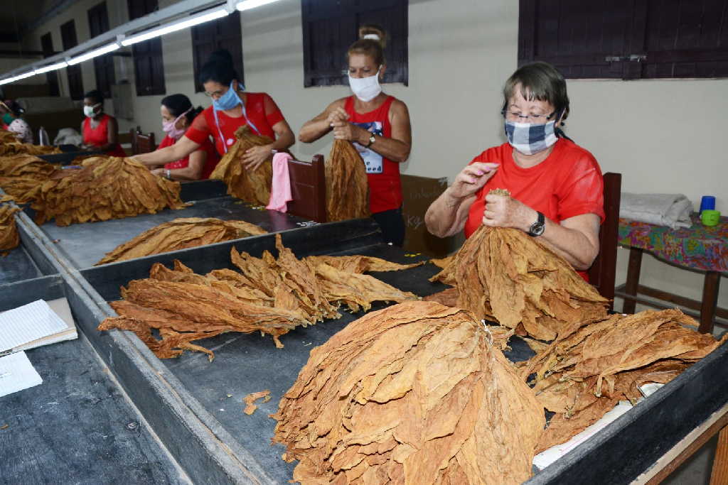 sancti spiritus, empoderamiento, mujer, fmc, federacion de mujeres cubanas