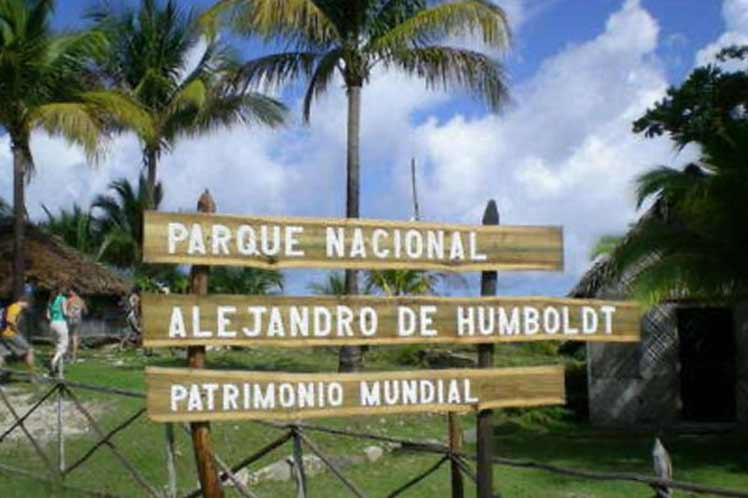 Desde 2017 no se registraba un hecho similar en el Parque Nacional Alejandro de Humboldt. (Foto: PL)