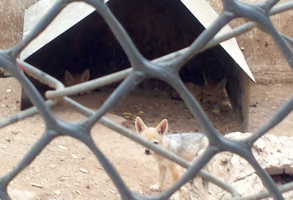 sancti spiritus, el bosque, zoologico espirituano