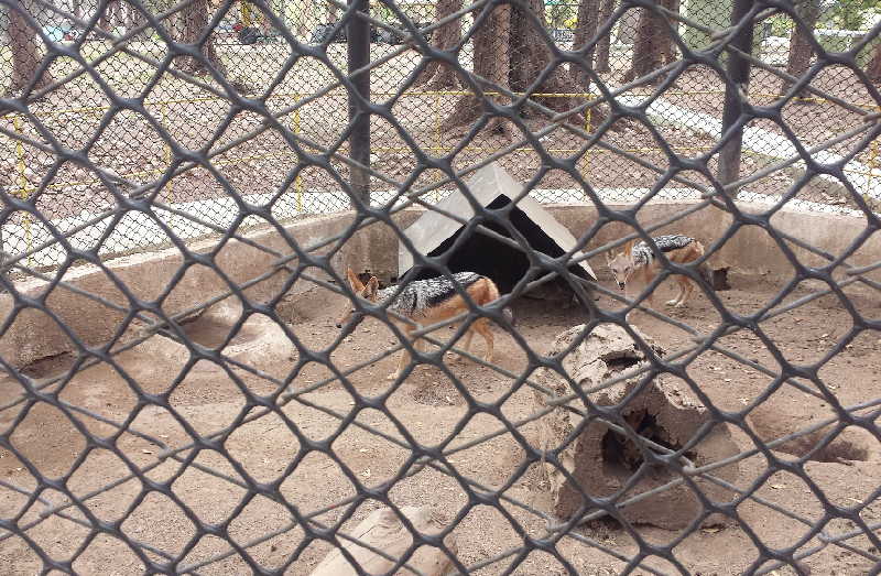 sancti spiritus, el bosque, zoologico espirituano