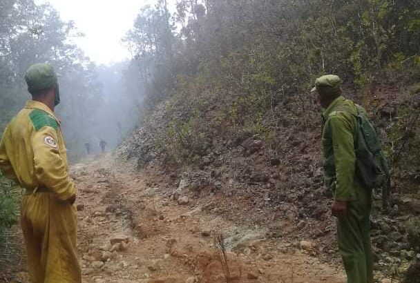 cuba, holguin, guantanamo, incendio forestales, flora y fauna, bomberos