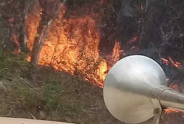 guantanamo, parque nacional alejandro de humboldt, incendios forestales, holguin