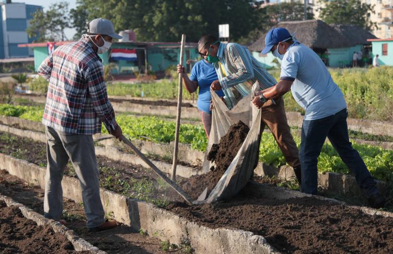 sancti spiritus, trabajo voluntario, primero de mayo, dia del proletariado mundial, dia de los trabajadores