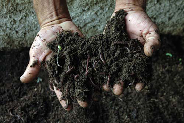 El suelo sigue siendo el principal problema medioambiental de la provincia. (Foto: PL)