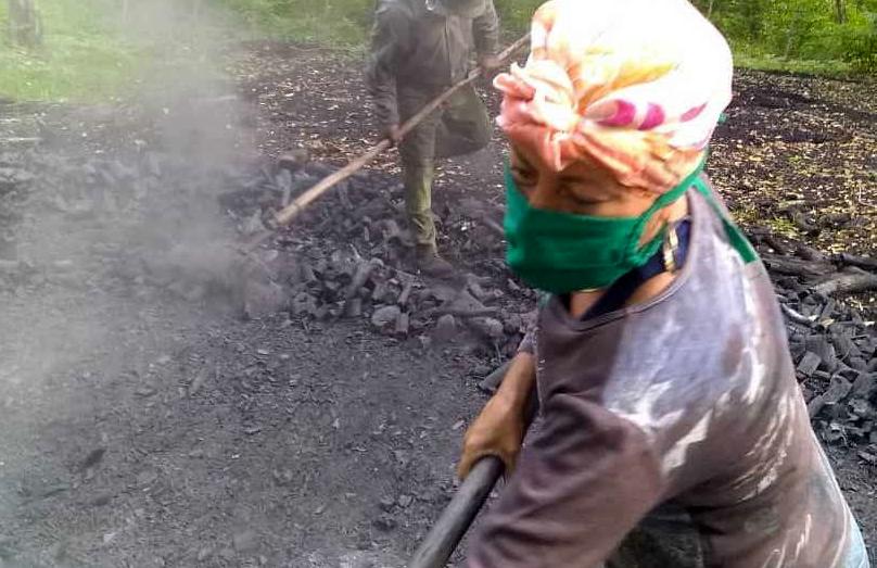 sancti spiritus, la sierpe,carbon vegeral, agroforestales, empresa forestal integral