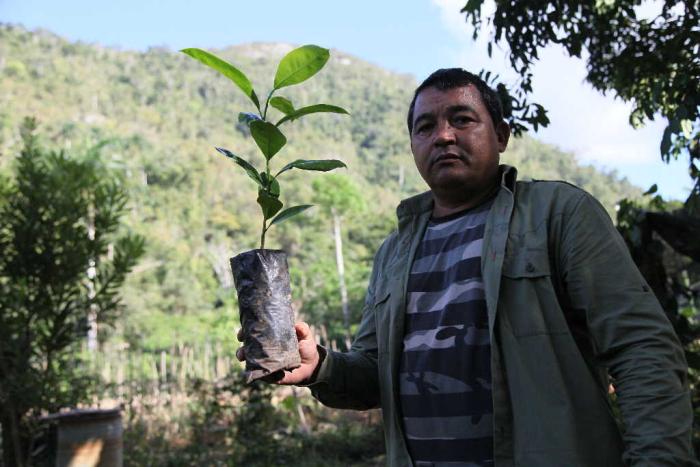 sancti spiritus, lomas de banao, flora y fauna, reserva ecologica