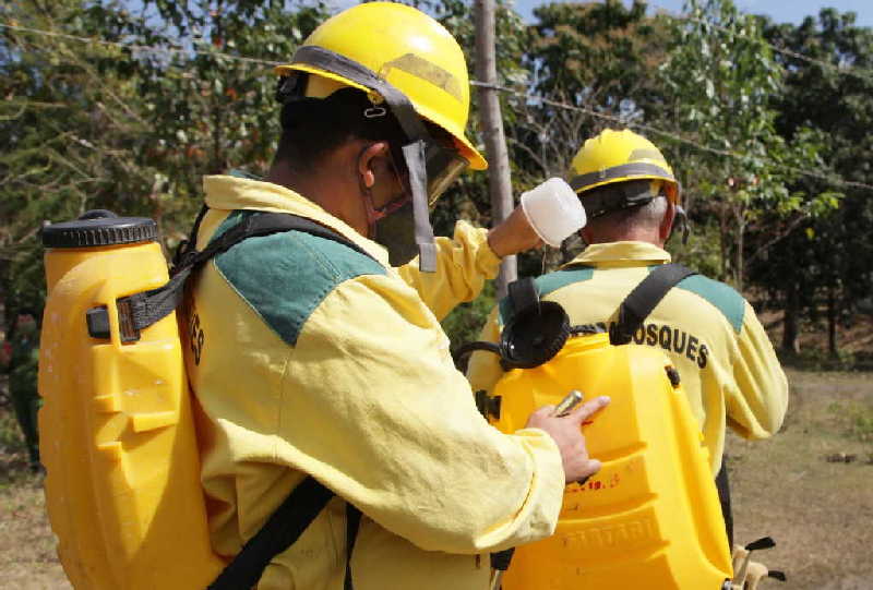 sancti spiritus, incendios forestales, guardabosques, flora y fauna