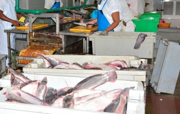 sancti spiritus, indistria alimentaria, pesca, primero de mayo, dia internacional de los trabajadores