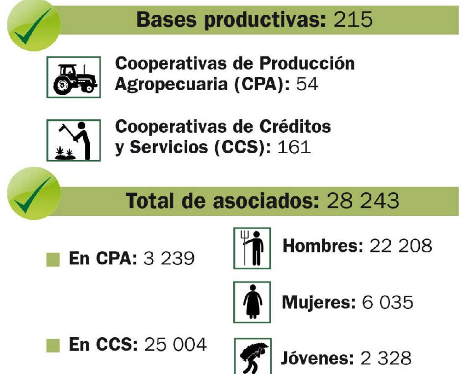 sancti spiritus, campesinos, produccion de alimentos, agricultura