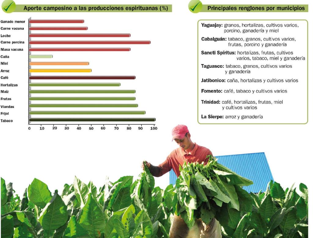 sancti spiritus, campesinos, produccion de alimentos, agricultura