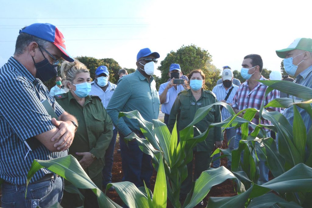 sancti spiritus, agricultura, agricultura sancti spiritus, tarea ordenamiento, yaguajay