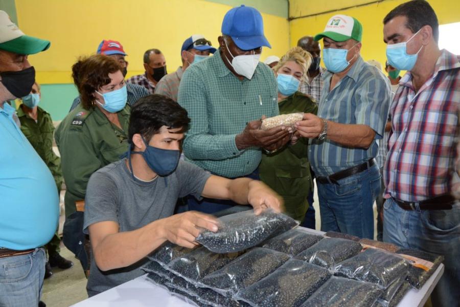 sancti spiritus, agricultura, agricultura sancti spiritus, tarea ordenamiento, yaguajay