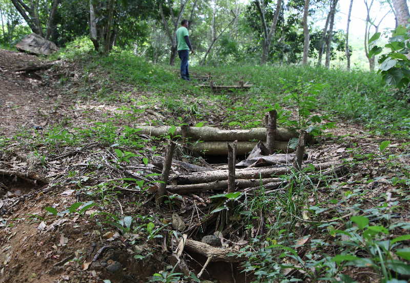 sancti spiritus, medio ambiente, 5 de junio, dia mundial del medio ambiente, parque nacional caguanes, lomas de banao