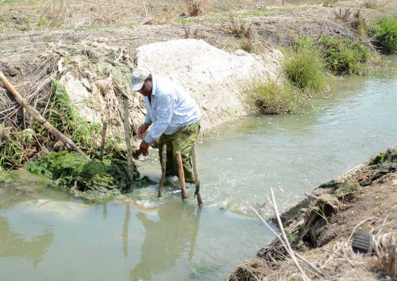 sancti spiritus, medio ambiente, 5 de junio, dia mundial del medio ambiente, parque nacional caguanes, lomas de banao