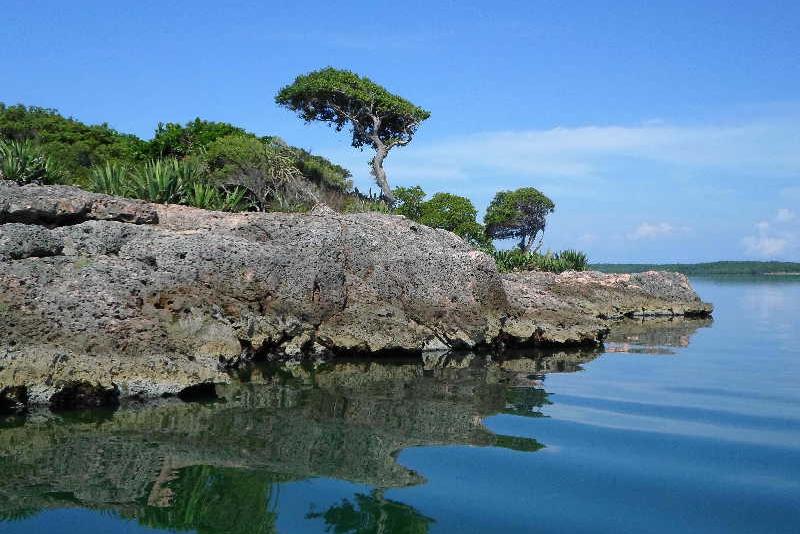 sancti spiritus, medio ambiente, 5 de junio, dia mundial del medio ambiente, parque nacional caguanes, lomas de banao