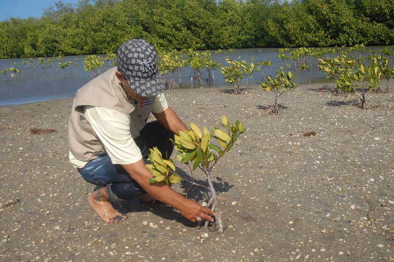 sancti spiritus, medio ambiente, 5 de junio, dia mundial del medio ambiente, parque nacional caguanes, lomas de banao