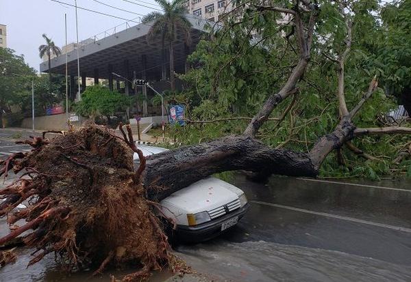 cuba, la habana, tormenta local severa, vientos, lluvias, desastres naturales, insmet