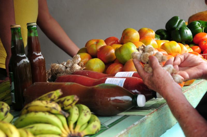 sancti spiritus, ilegalidades, delitos, multas, productos agropecuarios, pnr, policia nacional revolucuionaria, economia cubana